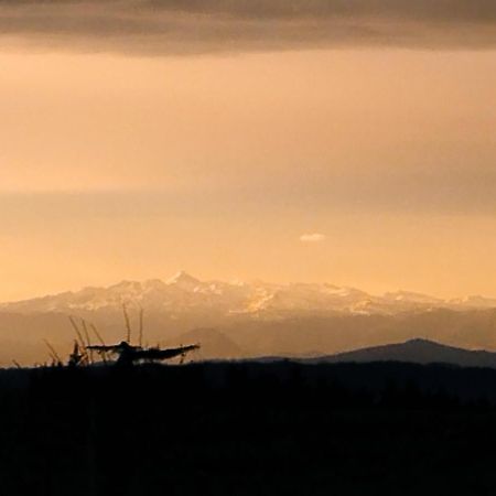 Appartement, Vue Sur Les Pyrenees Pouillon Esterno foto